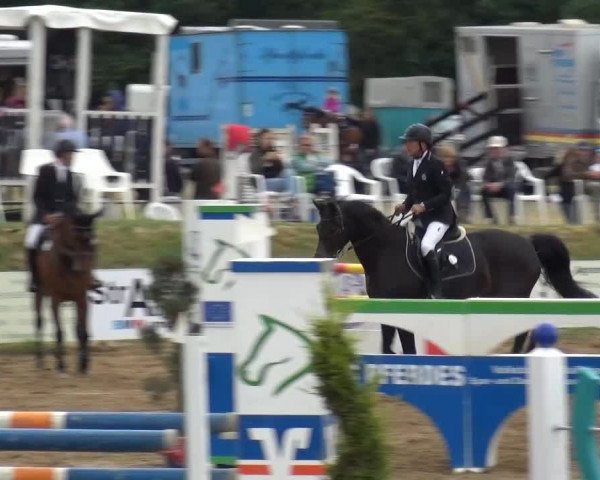 Sommerturnier RFV Heinsberg 2015