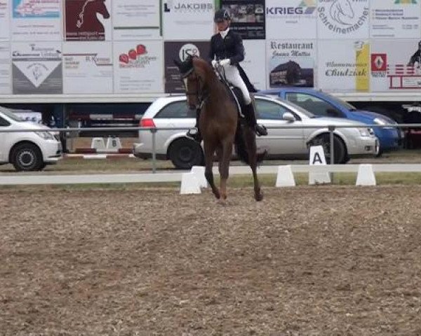 Sommerturnier RFV Heinsberg 2015