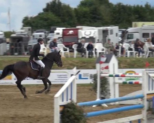 Sommerturnier RFV Heinsberg 2015