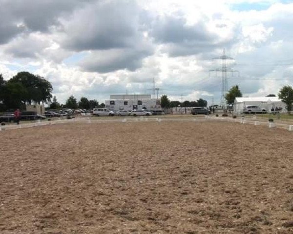 Sommerturnier RFV Heinsberg 2015