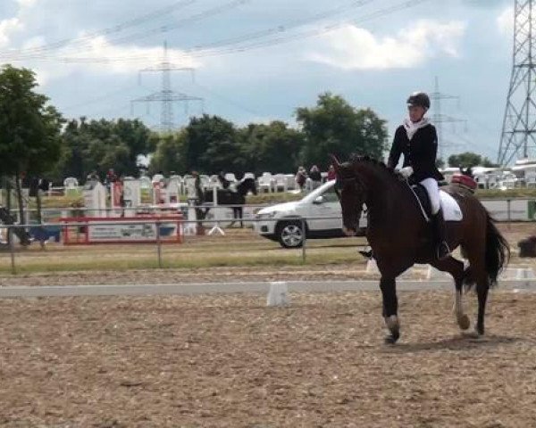 Sommerturnier RFV Heinsberg 2015