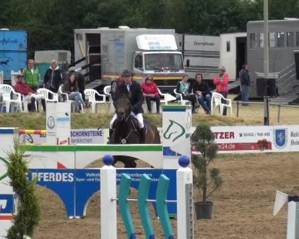 Sommerturnier RFV Heinsberg 2015