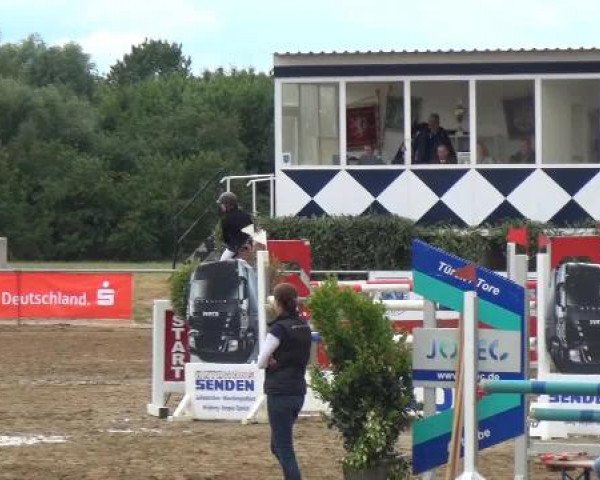 Sommerturnier RFV Heinsberg 2015