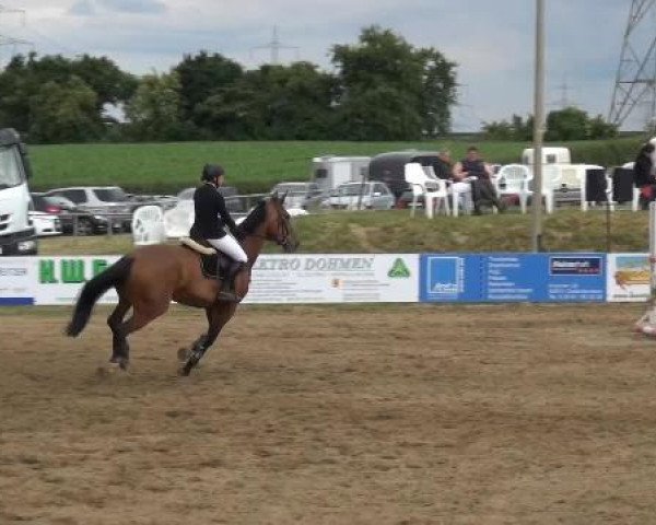 Sommerturnier RFV Heinsberg 2015