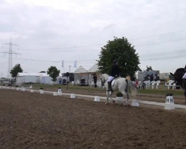 Sommerturnier RFV Heinsberg 2015