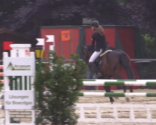 Sommerturnier Fröndenberg 2015