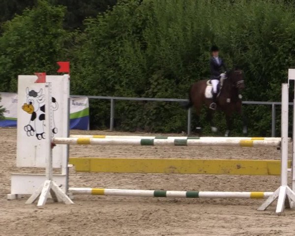Sommerturnier Fröndenberg 2015