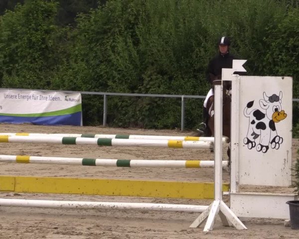 Sommerturnier Fröndenberg 2015