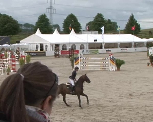 FEI Reitturnier Sommerstorf (GER) 2015