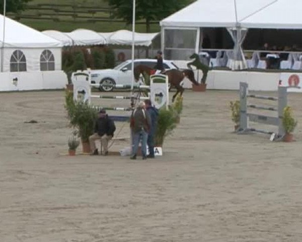 FEI Reitturnier Sommerstorf (GER) 2015