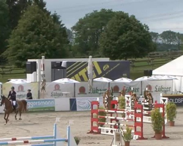 FEI Reitturnier Sommerstorf (GER) 2015