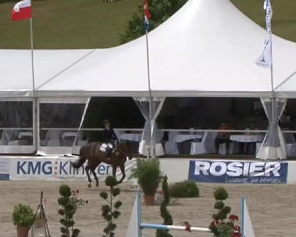 FEI Reitturnier Sommerstorf (GER) 2015