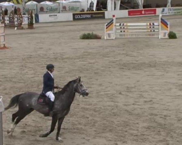 FEI Reitturnier Sommerstorf (GER) 2015