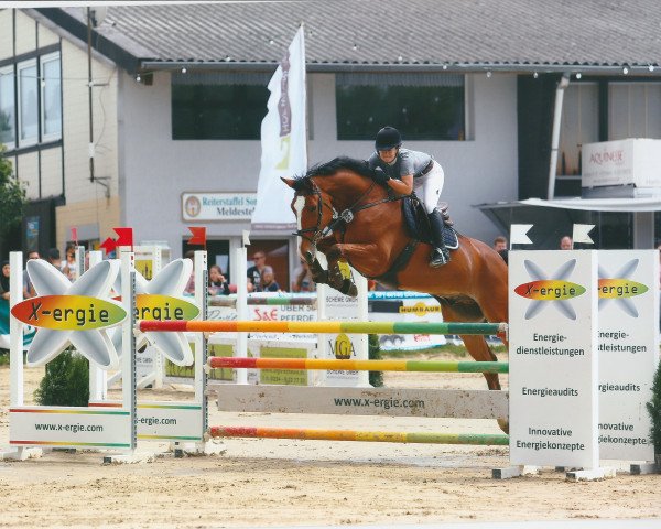 jumper Online 22 (Hanoverian, 2010, from Balou du Rouet)