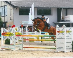 jumper Online 22 (Hanoverian, 2010, from Balou du Rouet)