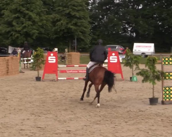 Coesfelder Reitertage 2015