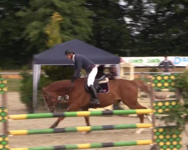 Coesfelder Reitertage 2015
