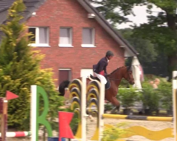 Coesfelder Reitertage 2015