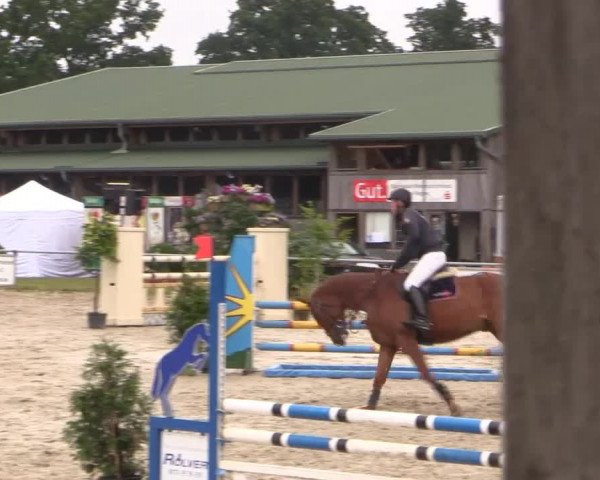Coesfelder Reitertage 2015