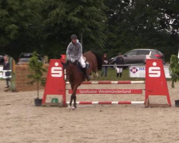 Coesfelder Reitertage 2015