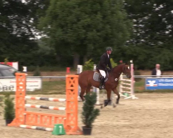 Coesfelder Reitertage 2015