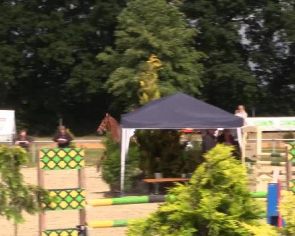Coesfelder Reitertage 2015