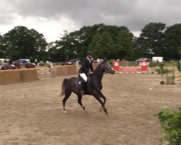 Coesfelder Reitertage 2015