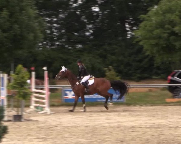 Coesfelder Reitertage 2015