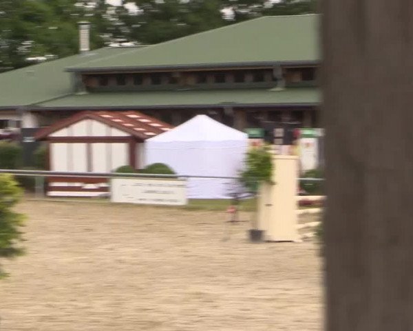 Coesfelder Reitertage 2015