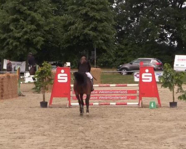 Coesfelder Reitertage 2015