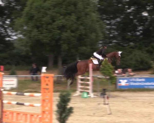 Coesfelder Reitertage 2015