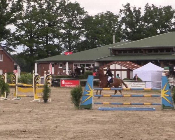 Coesfelder Reitertage 2015