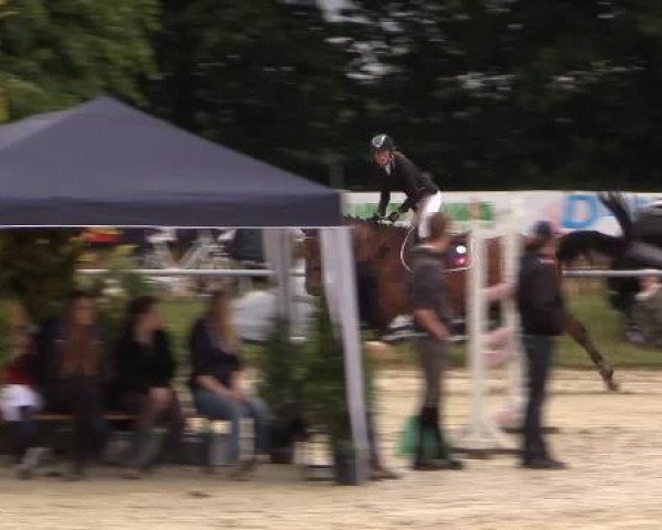 Coesfelder Reitertage 2015