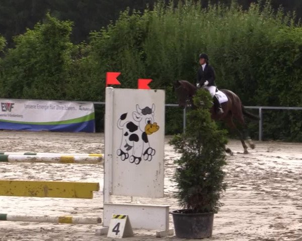 Sommerturnier Fröndenberg 2015