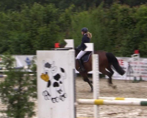 Sommerturnier Fröndenberg 2015