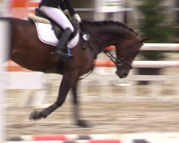 Sommerturnier Fröndenberg 2015