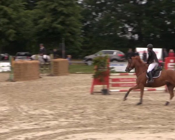 Coesfelder Reitertage 2015
