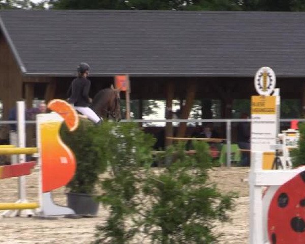 Sommerturnier Fröndenberg 2015
