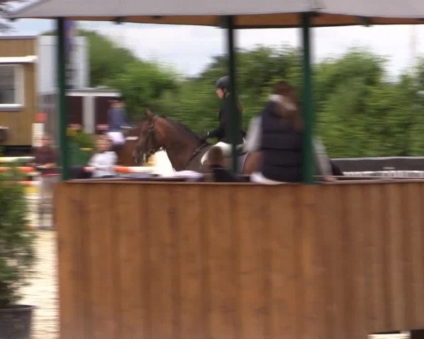 Sommerturnier Fröndenberg 2015