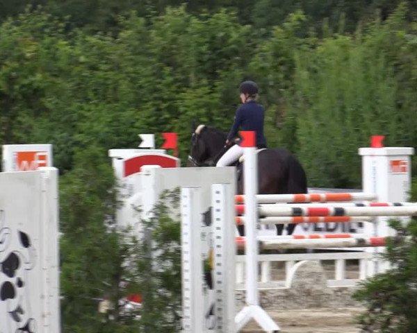 Sommerturnier Fröndenberg 2015