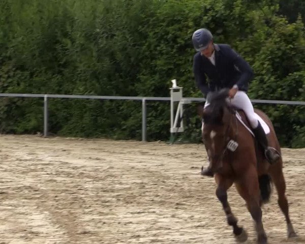 Sommerturnier Fröndenberg 2015