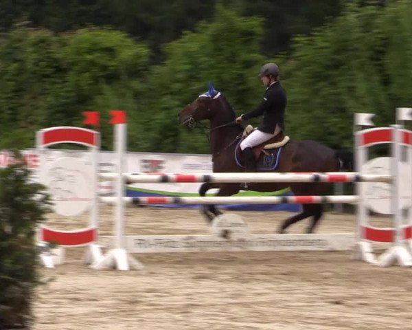 Sommerturnier Fröndenberg 2015