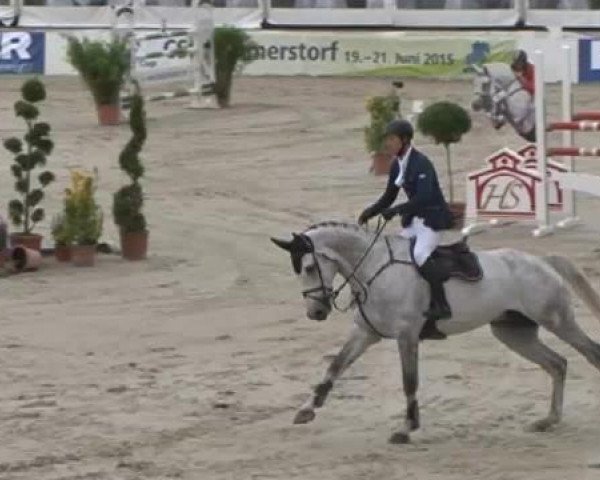 FEI Reitturnier Sommerstorf (GER) 2015