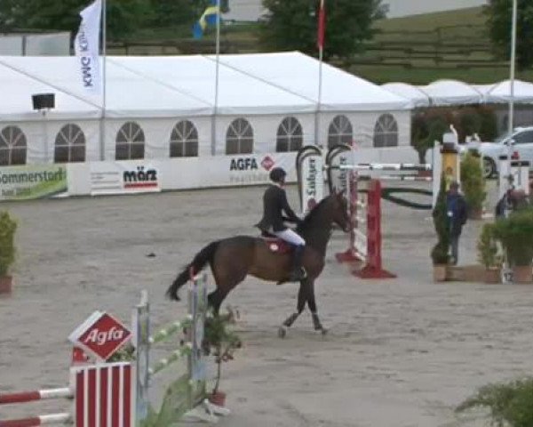 FEI Reitturnier Sommerstorf (GER) 2015