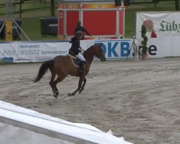 FEI Reitturnier Sommerstorf (GER) 2015