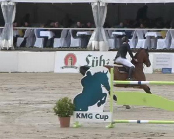 FEI Reitturnier Sommerstorf (GER) 2015