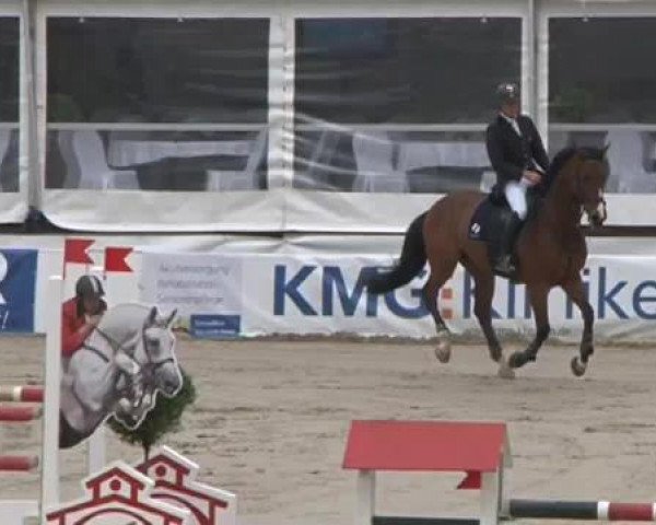 FEI Reitturnier Sommerstorf (GER) 2015