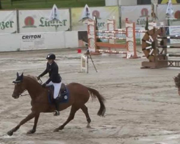 FEI Reitturnier Sommerstorf (GER) 2015
