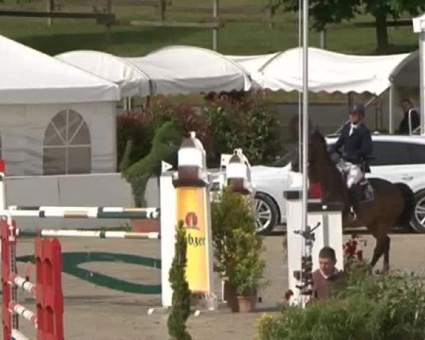 FEI Reitturnier Sommerstorf (GER) 2015