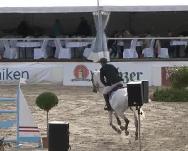 FEI Reitturnier Sommerstorf (GER) 2015